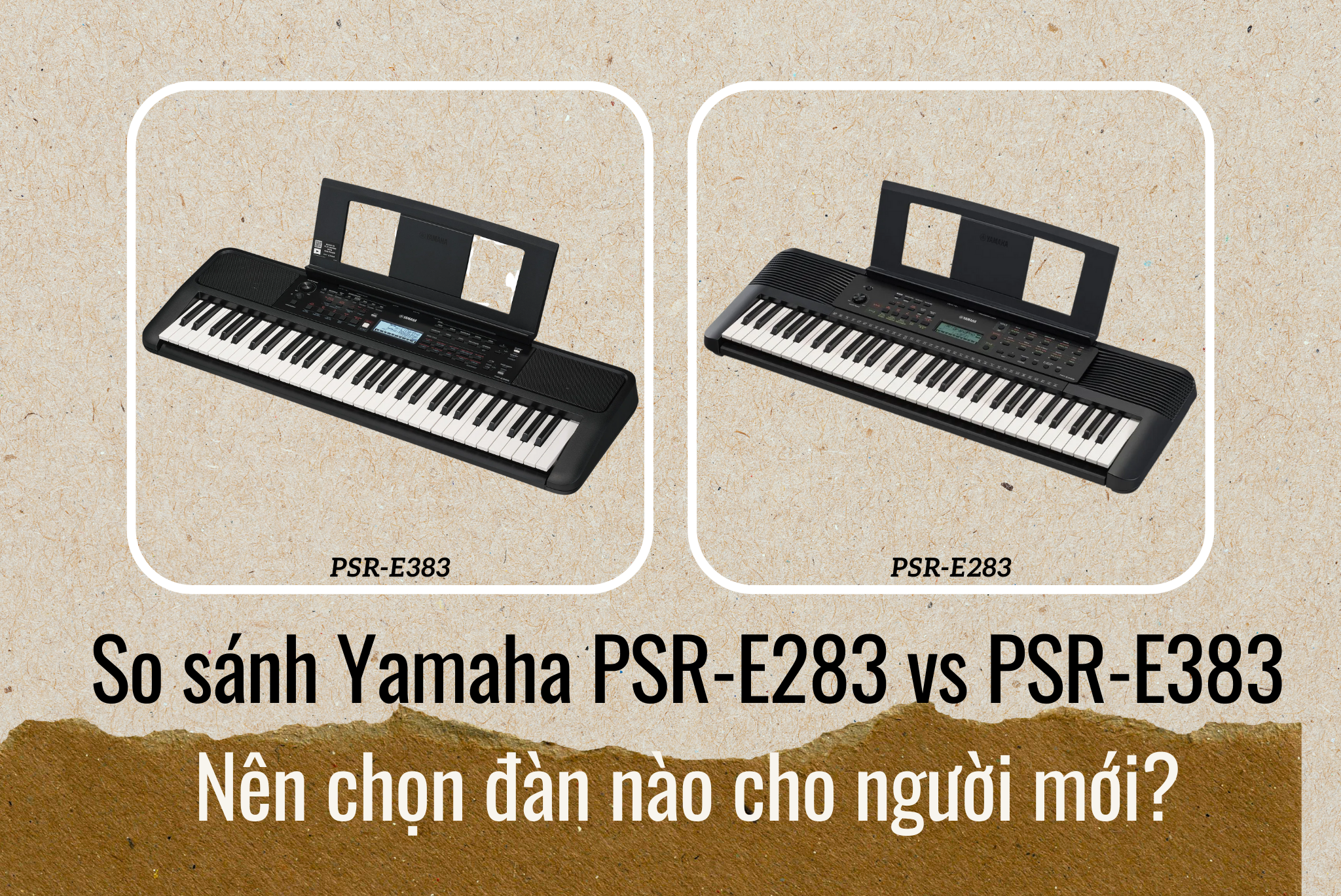 So sánh Yamaha PSR-E283 vs PSR-E383: Nên chọn đàn nào cho người mới?