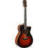 Đàn Guitar Acoustic Yamaha AC3M ARE | Areca