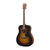 Đàn Guitar Acoustic Yamaha F310 | Areca