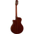 Đàn Guitar Classic Yamaha NTX5 | Areca