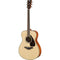 Đàn Guitar Acoustic Yamaha FS820 | Areca